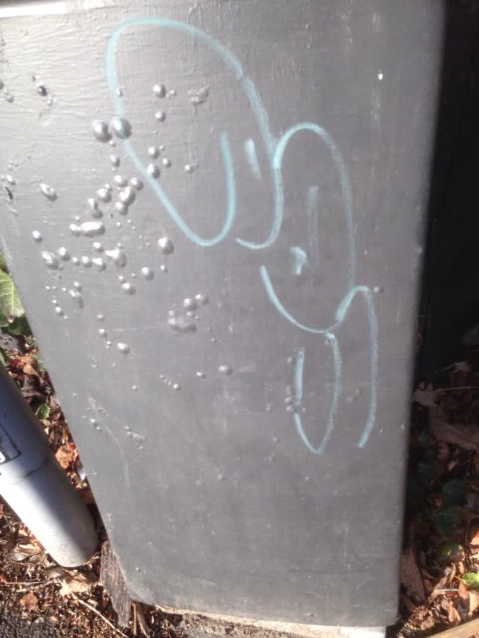 The photograph attached to this graffiti report