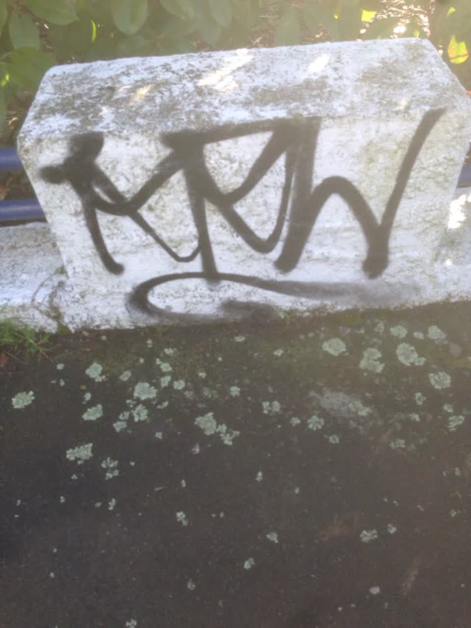 The photograph attached to this graffiti report