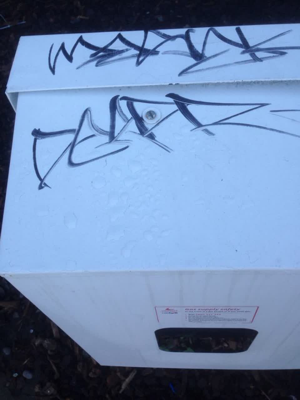 The photograph attached to this graffiti report