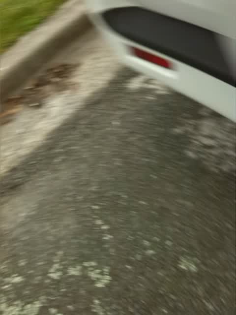 Roading/Streets, a report photo