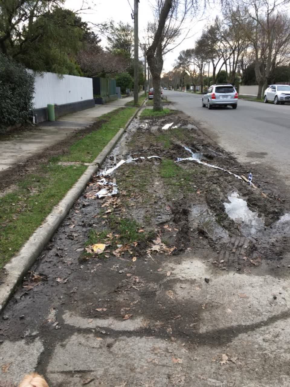 The photograph attached to this roading/streets report