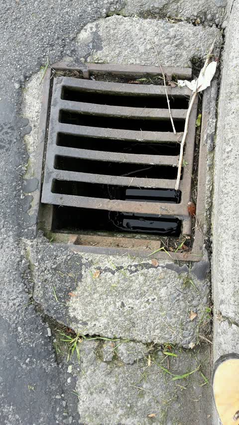 Roading/Streets, a report photo