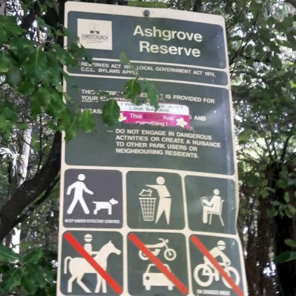 The photograph attached to this parks report