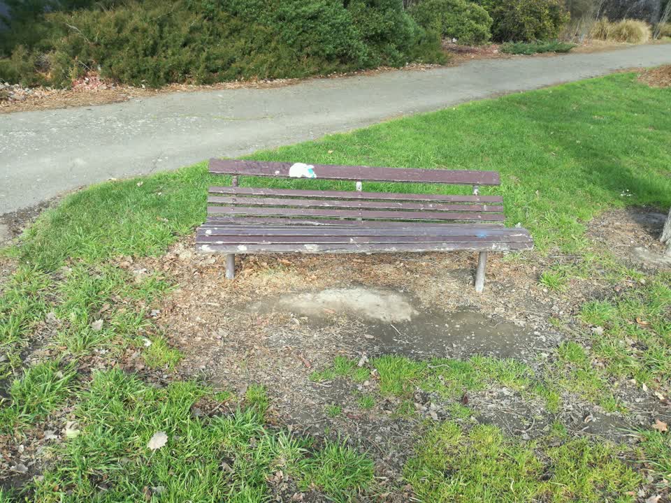 The photograph attached to this parks report