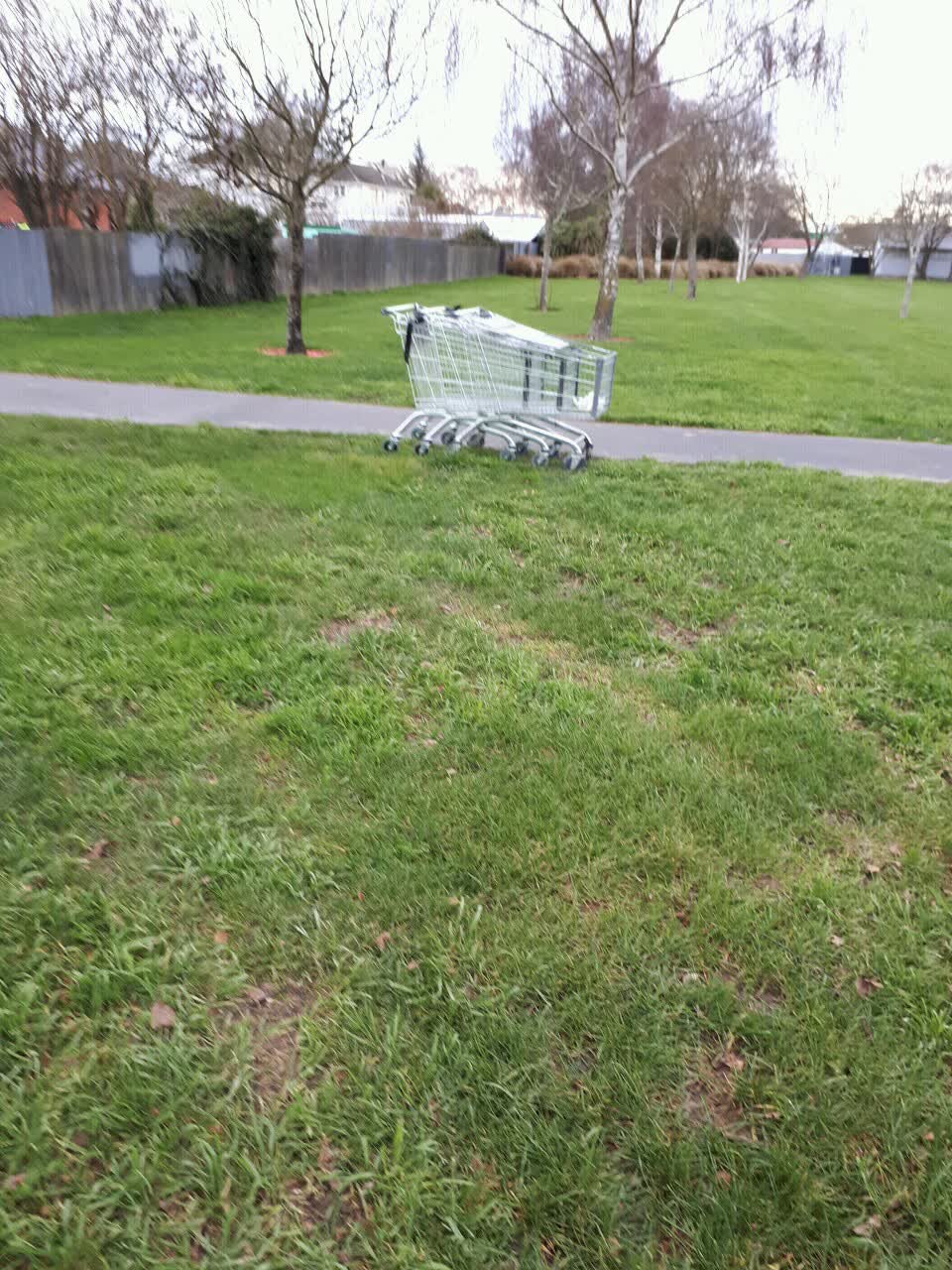 The photograph attached to this parks report