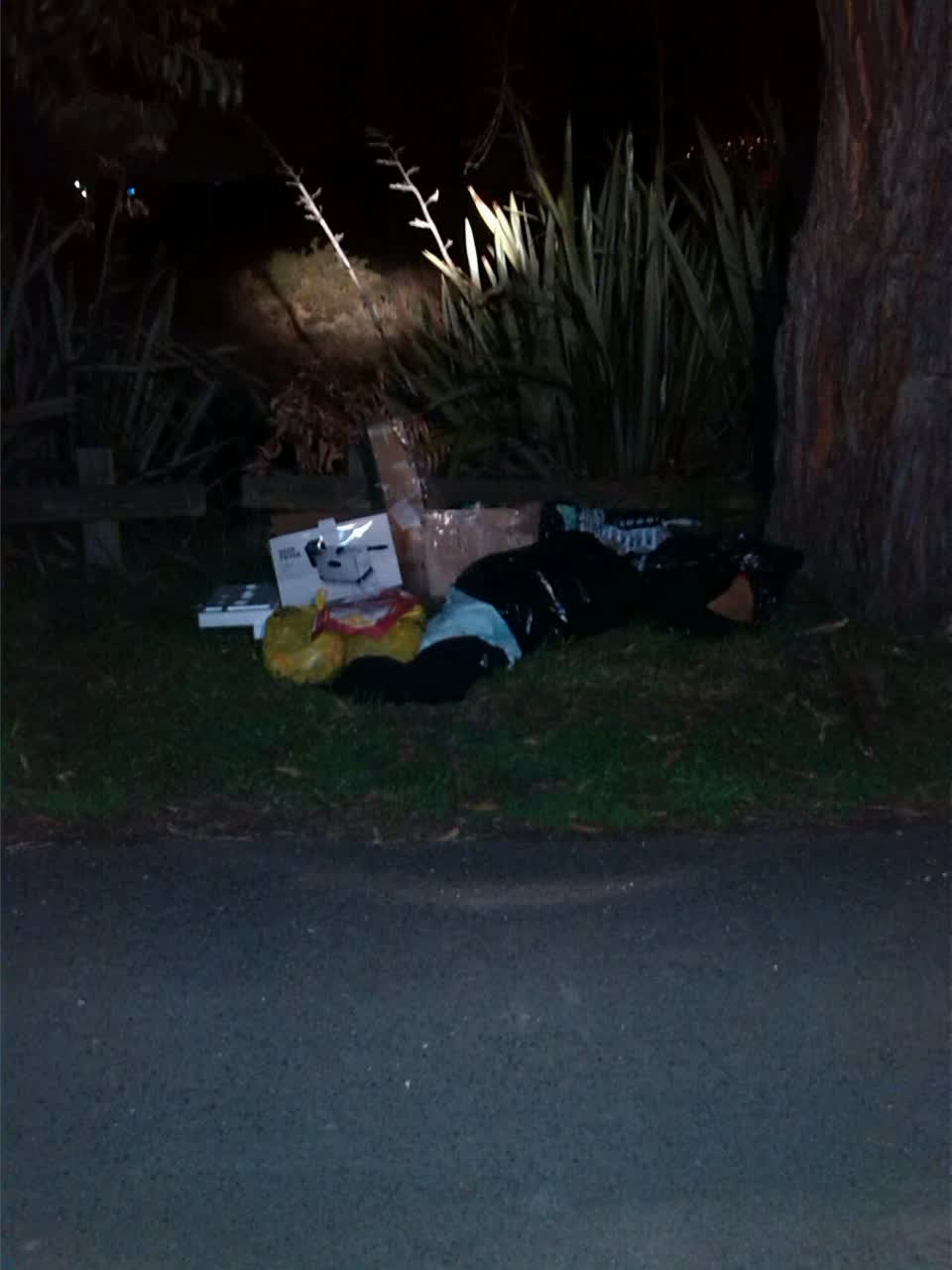 The photograph attached to this rubbish/recycling report