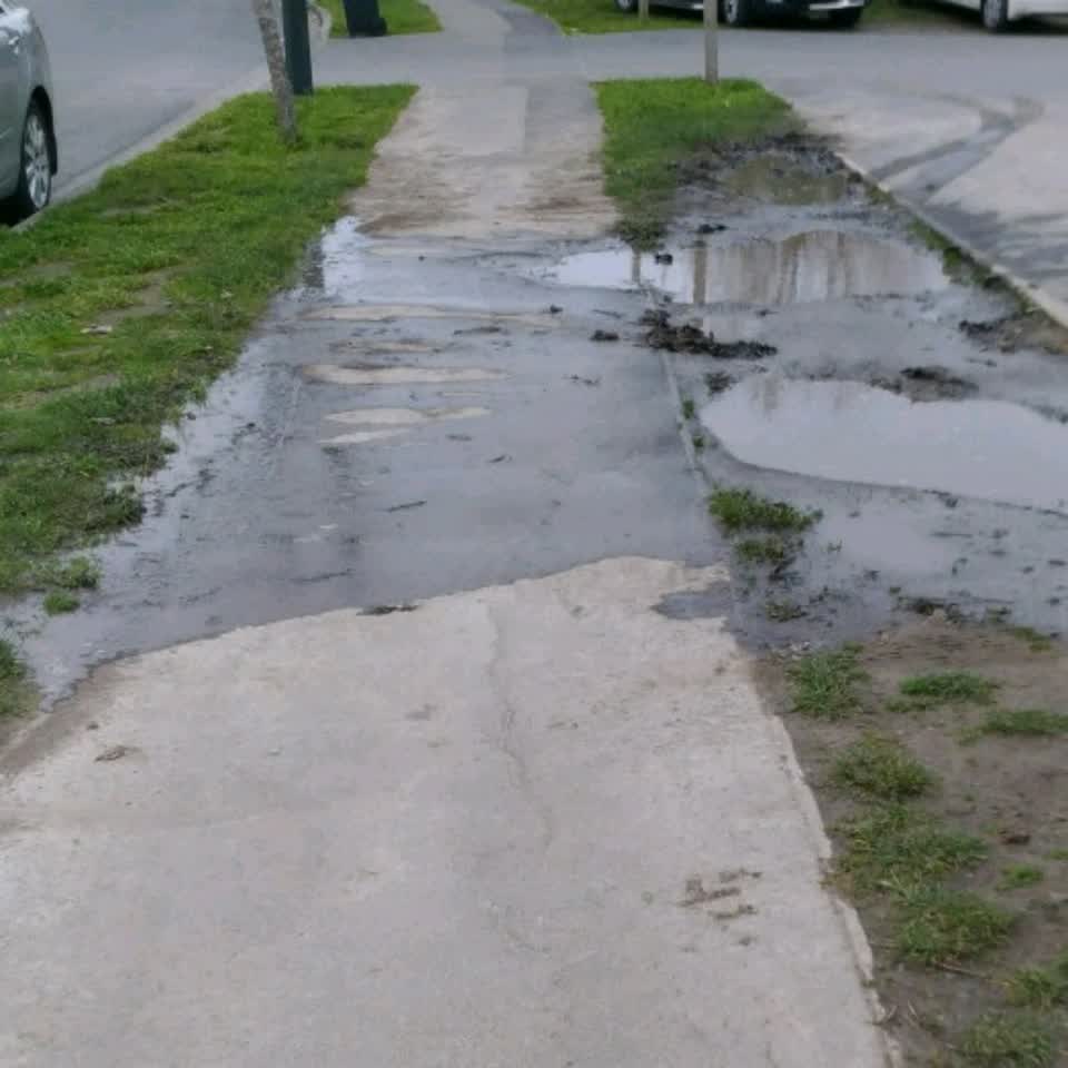 The photograph attached to this roading/streets report
