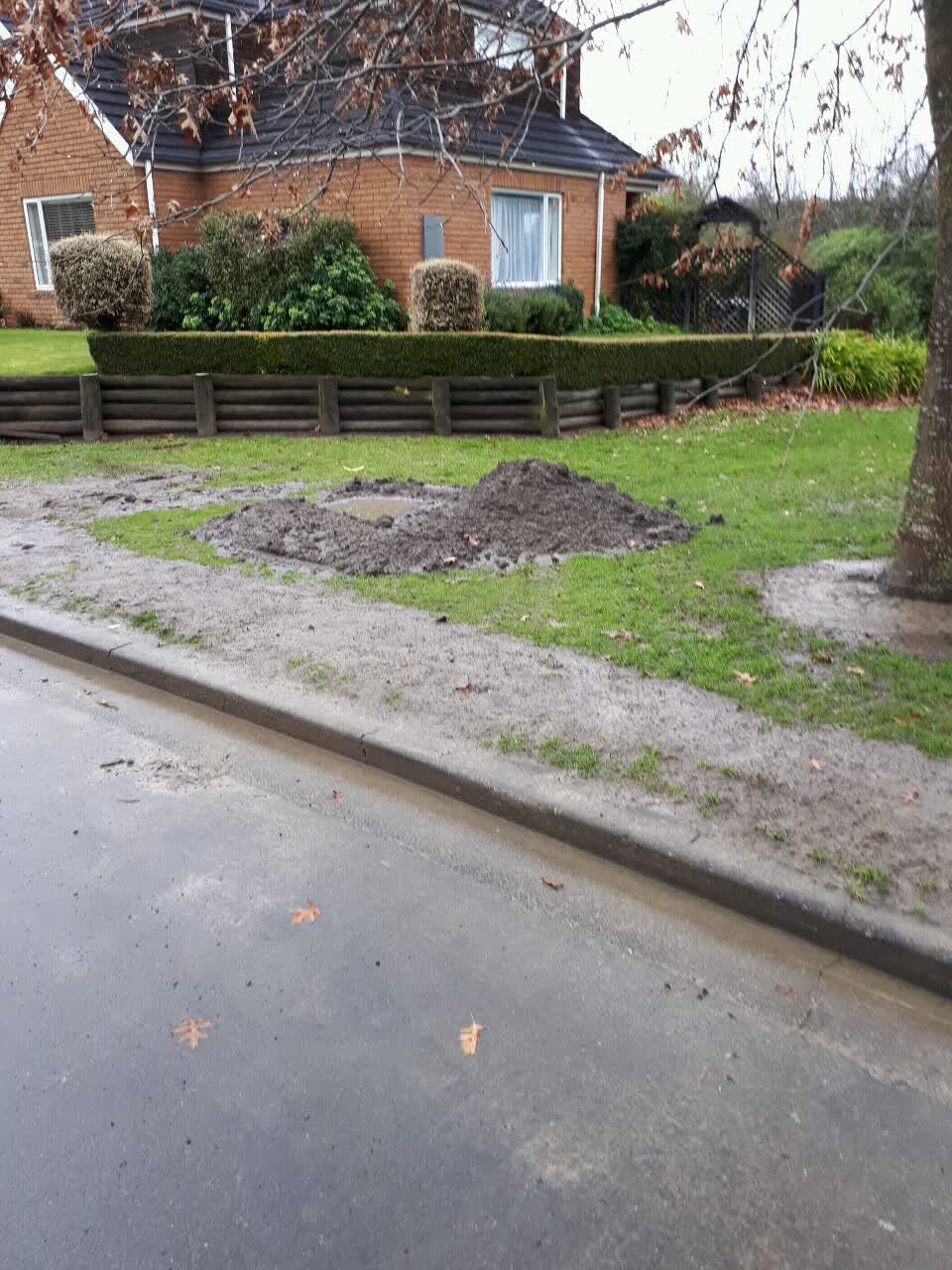 The photograph attached to this parks report
