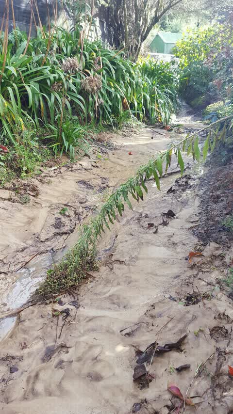 Wastewater/Stormwater, a report photo
