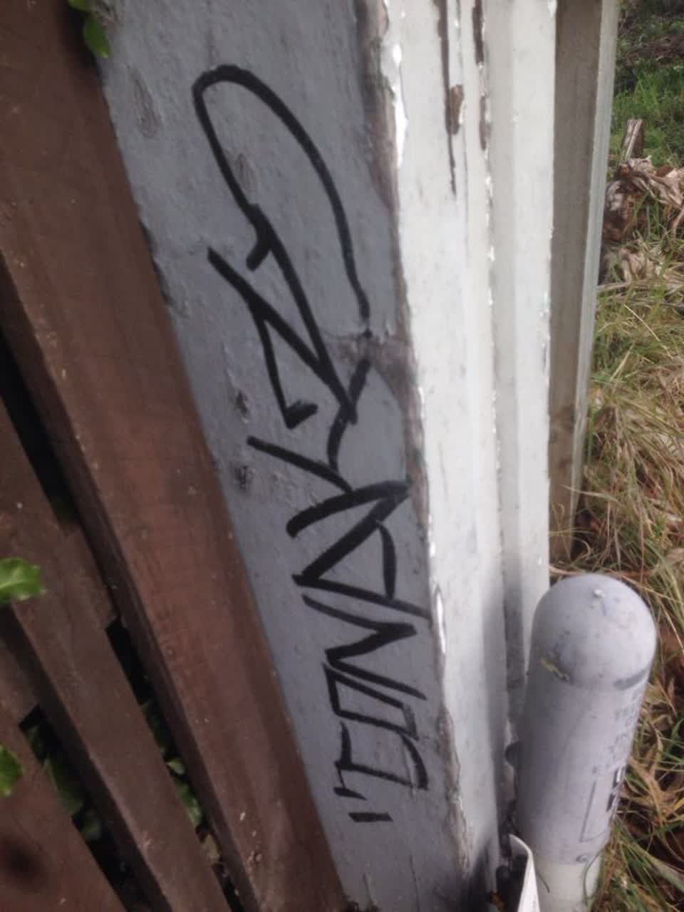 The photograph attached to this graffiti report