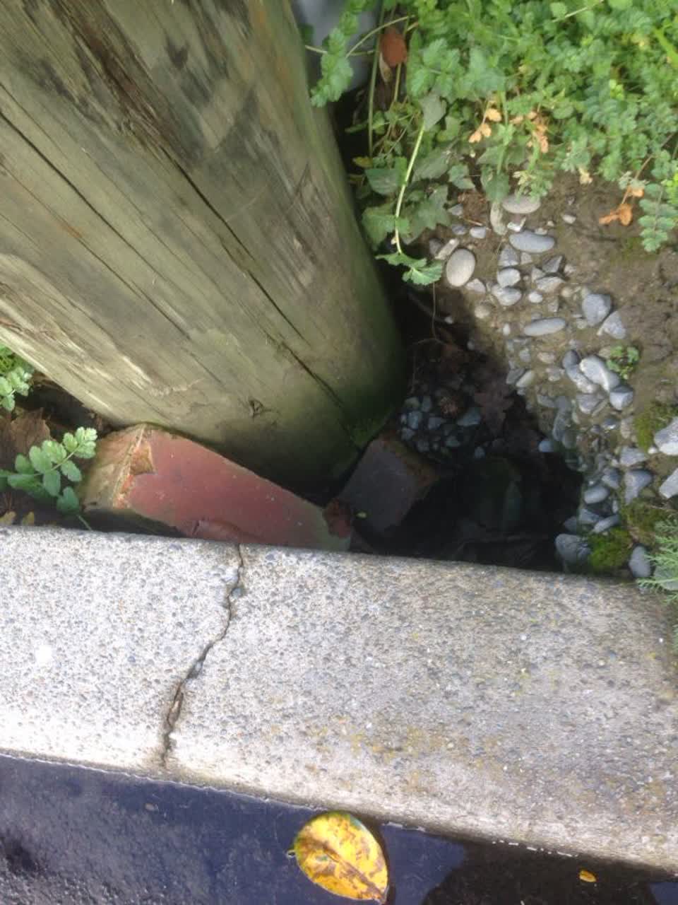 The photograph attached to this roading/streets report