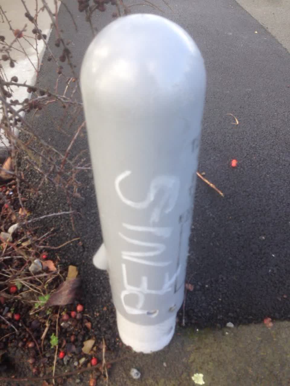 The photograph attached to this graffiti report