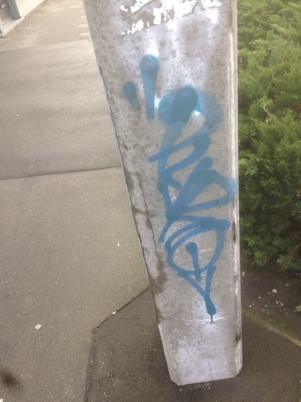 The photograph attached to this graffiti report