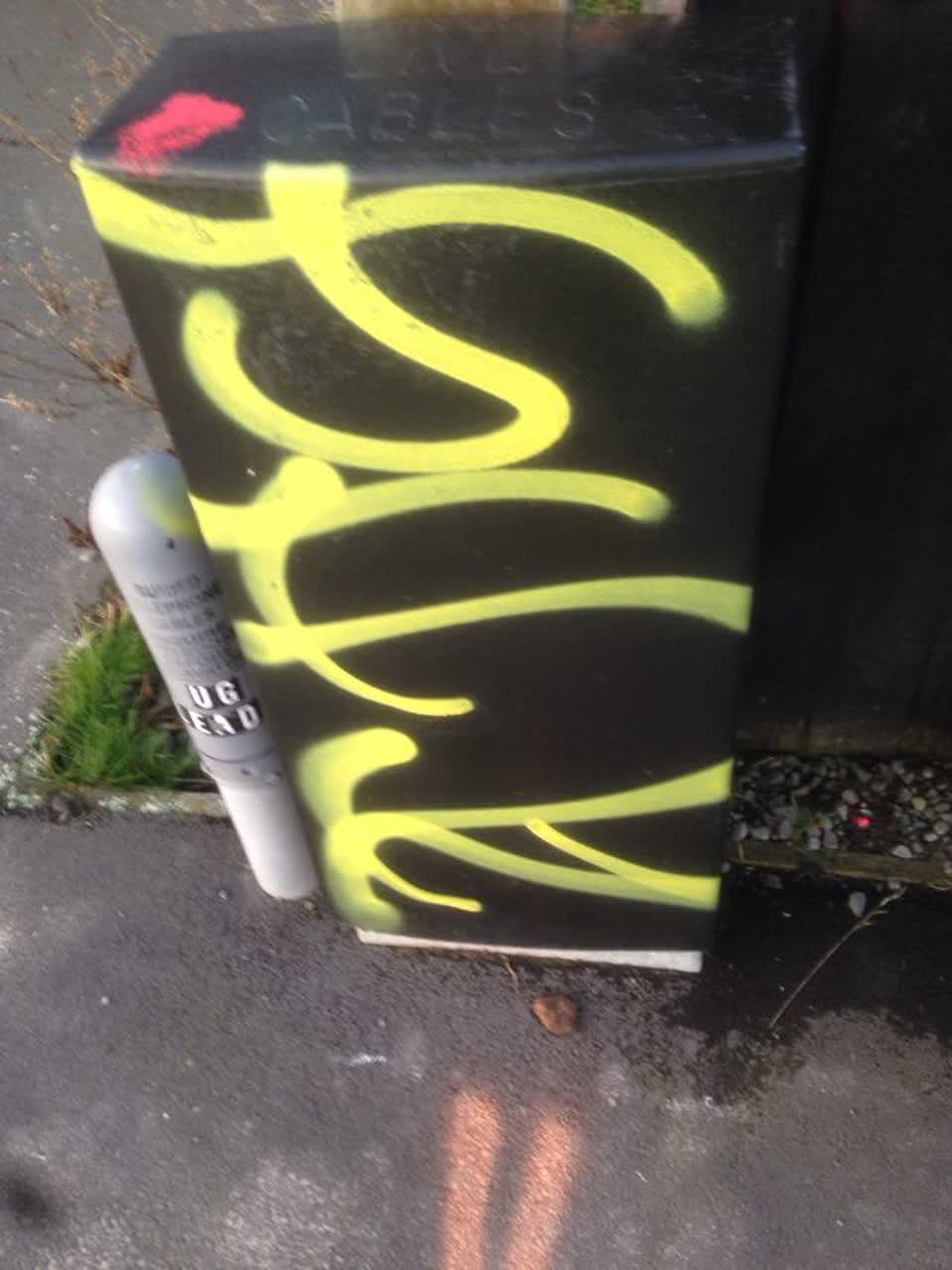 The photograph attached to this graffiti report