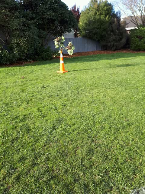 Parks, a report photo