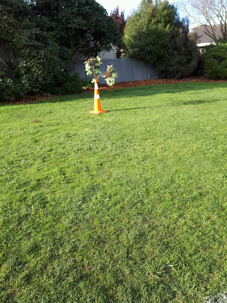 The photograph attached to this parks report