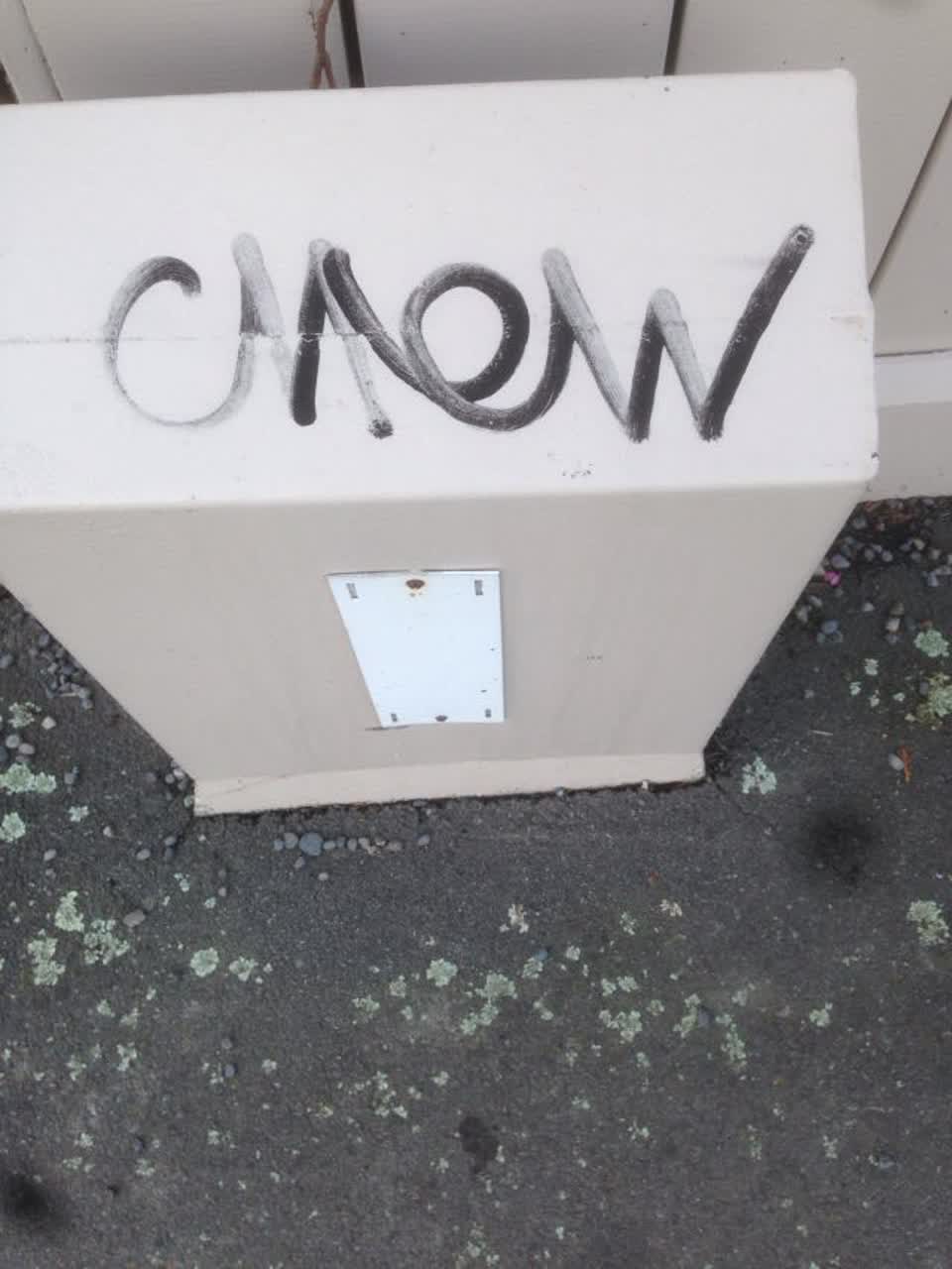 The photograph attached to this graffiti report