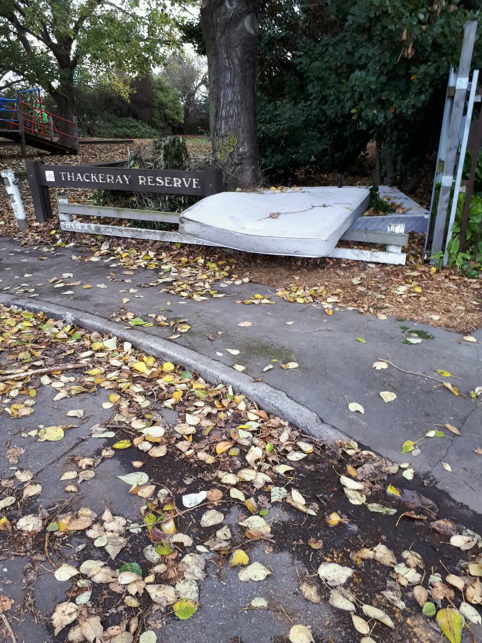 The photograph attached to this parks report