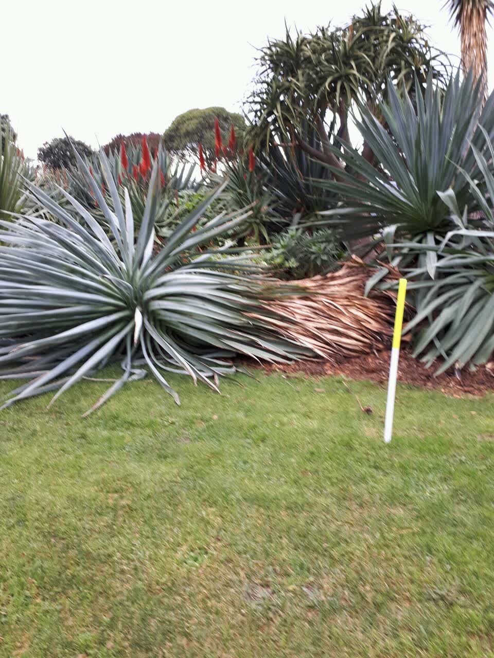 The photograph attached to this parks report