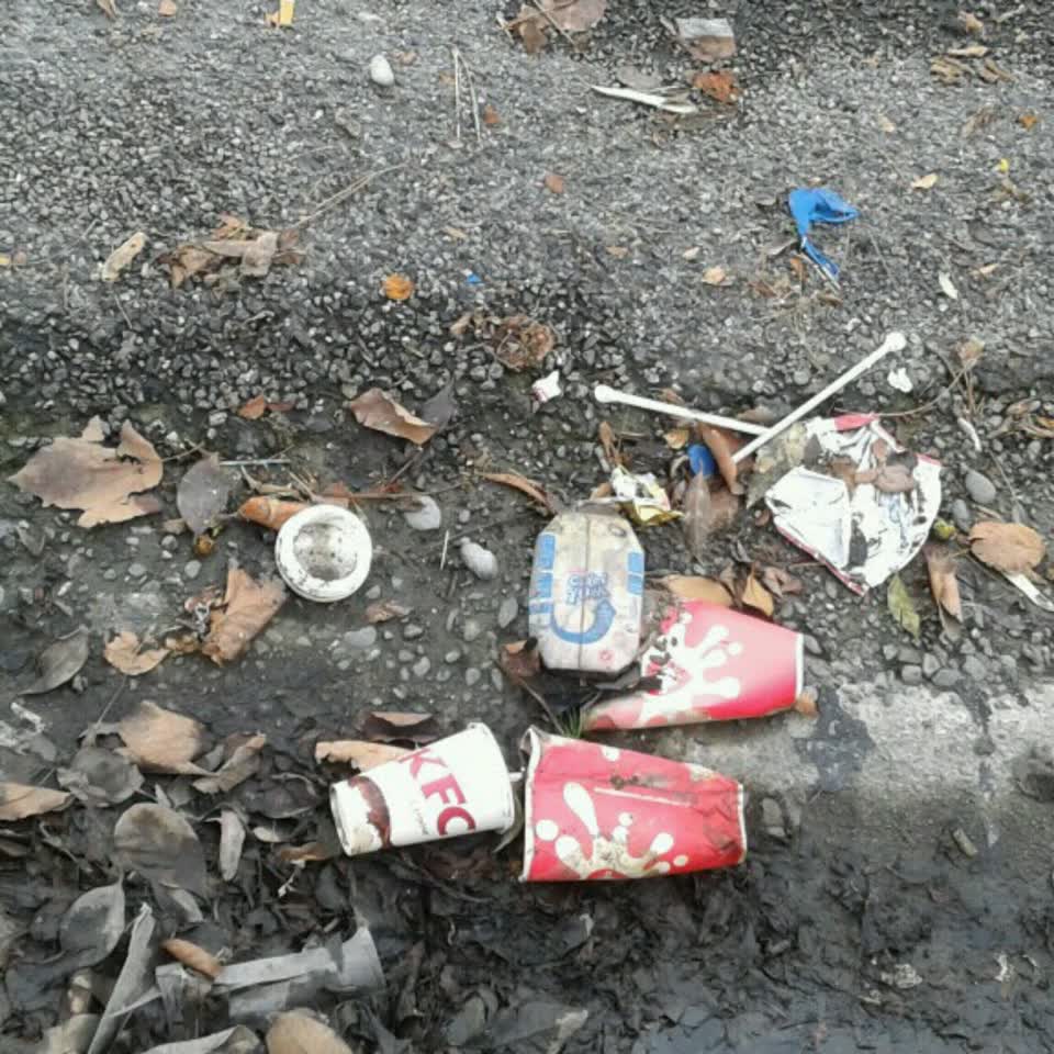The photograph attached to this wastewater/stormwater report