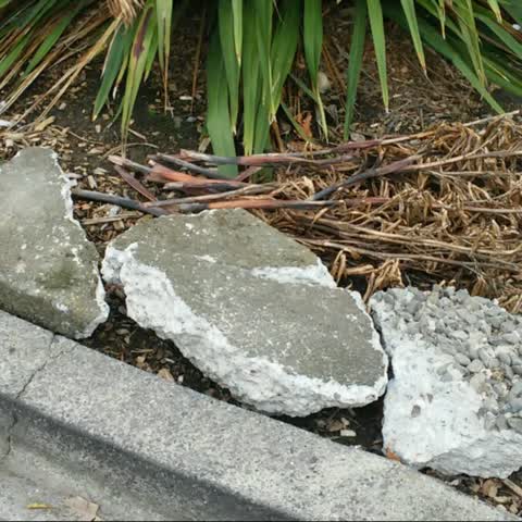 Rubbish/Recycling, a report photo