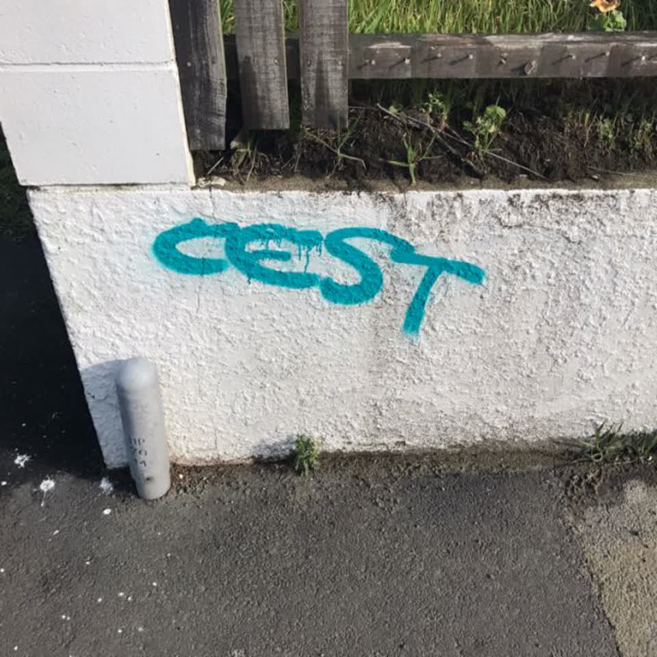 The photograph attached to this graffiti report