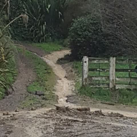 Wastewater/Stormwater, a report photo
