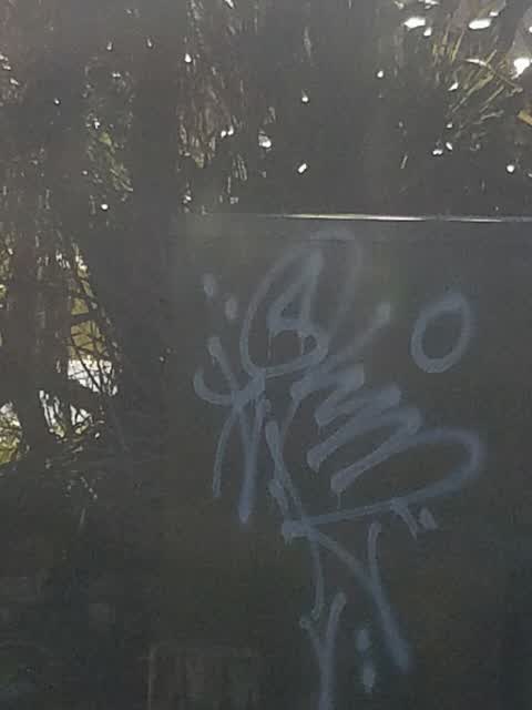 Graffiti, a report photo