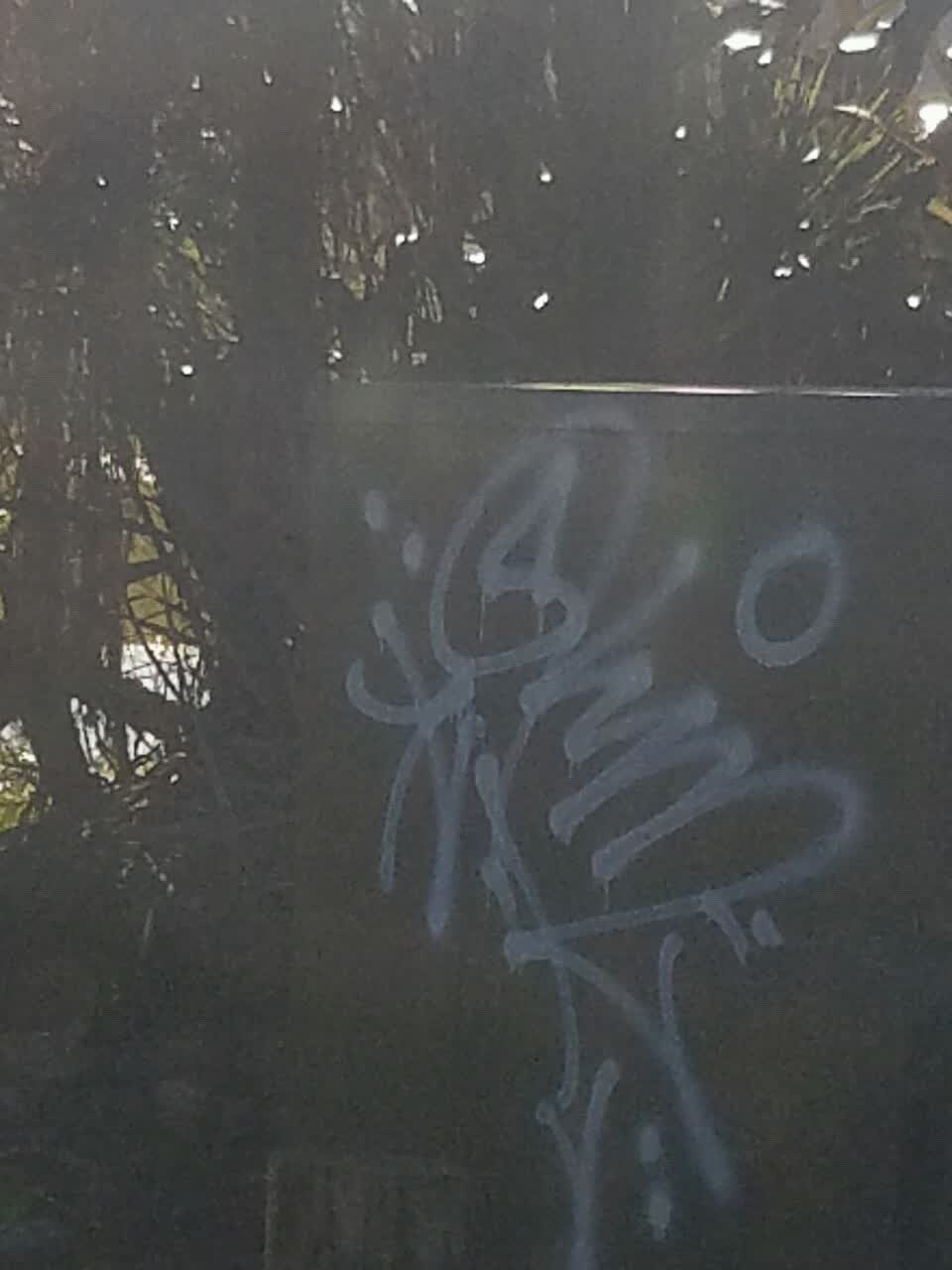 The photograph attached to this graffiti report