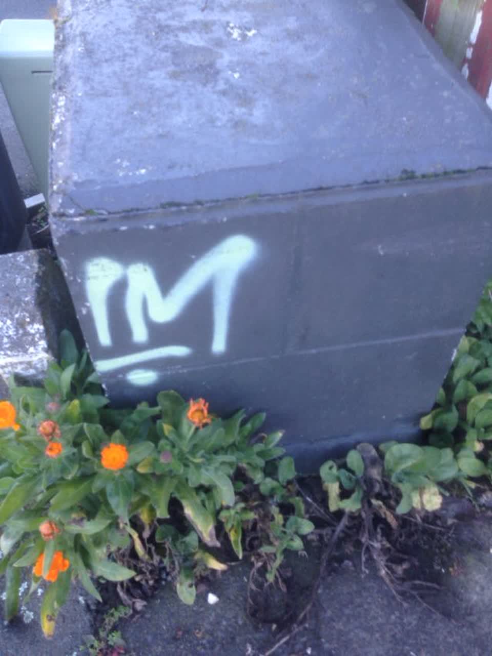 The photograph attached to this graffiti report