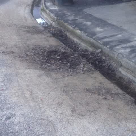 Wastewater/Stormwater, a report photo
