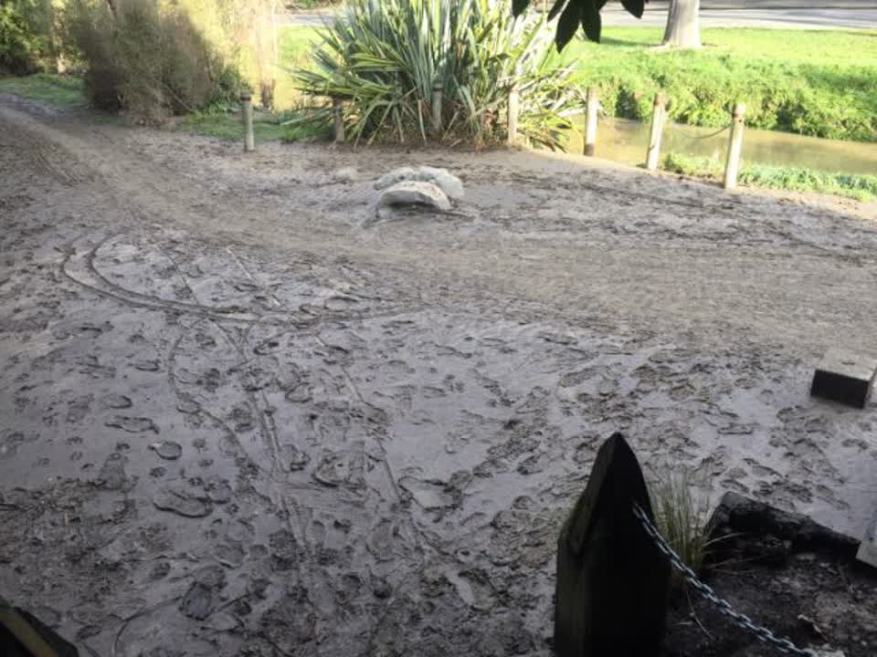 The photograph attached to this parks report