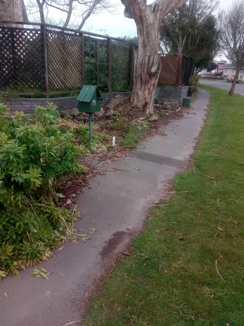 Roading/Streets, a report photo
