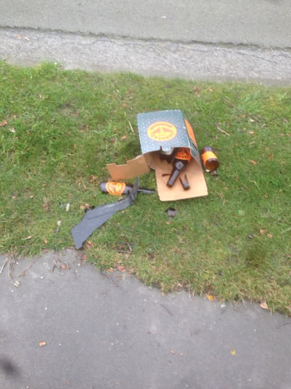 The photograph attached to this rubbish/recycling report