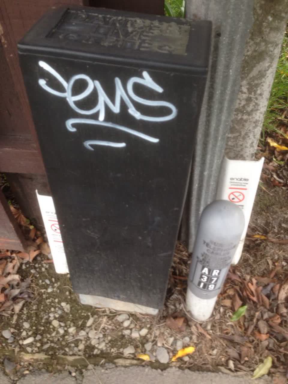 The photograph attached to this graffiti report