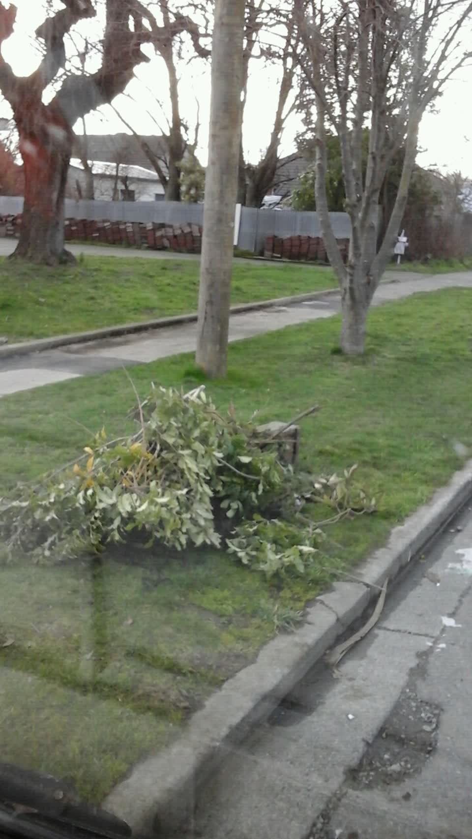 The photograph attached to this roading/streets report