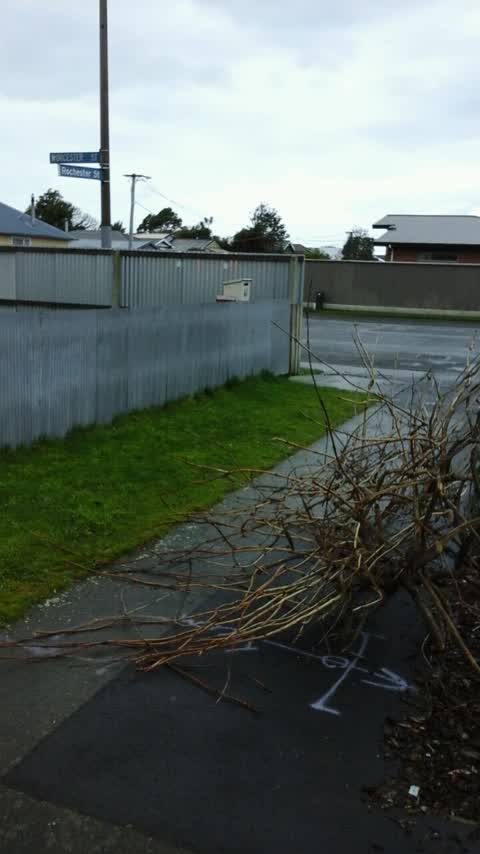 Roading/Streets, a report photo