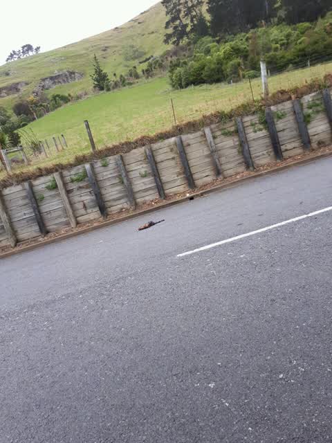 Roading/Streets, a report photo