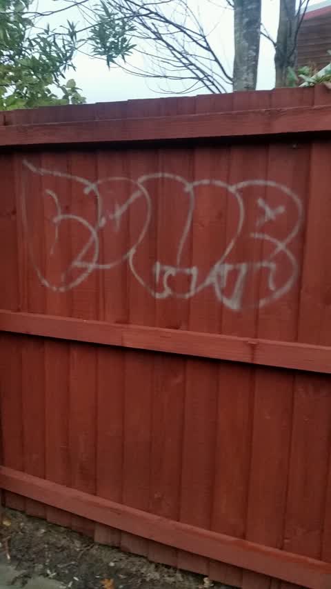 Graffiti, a report photo