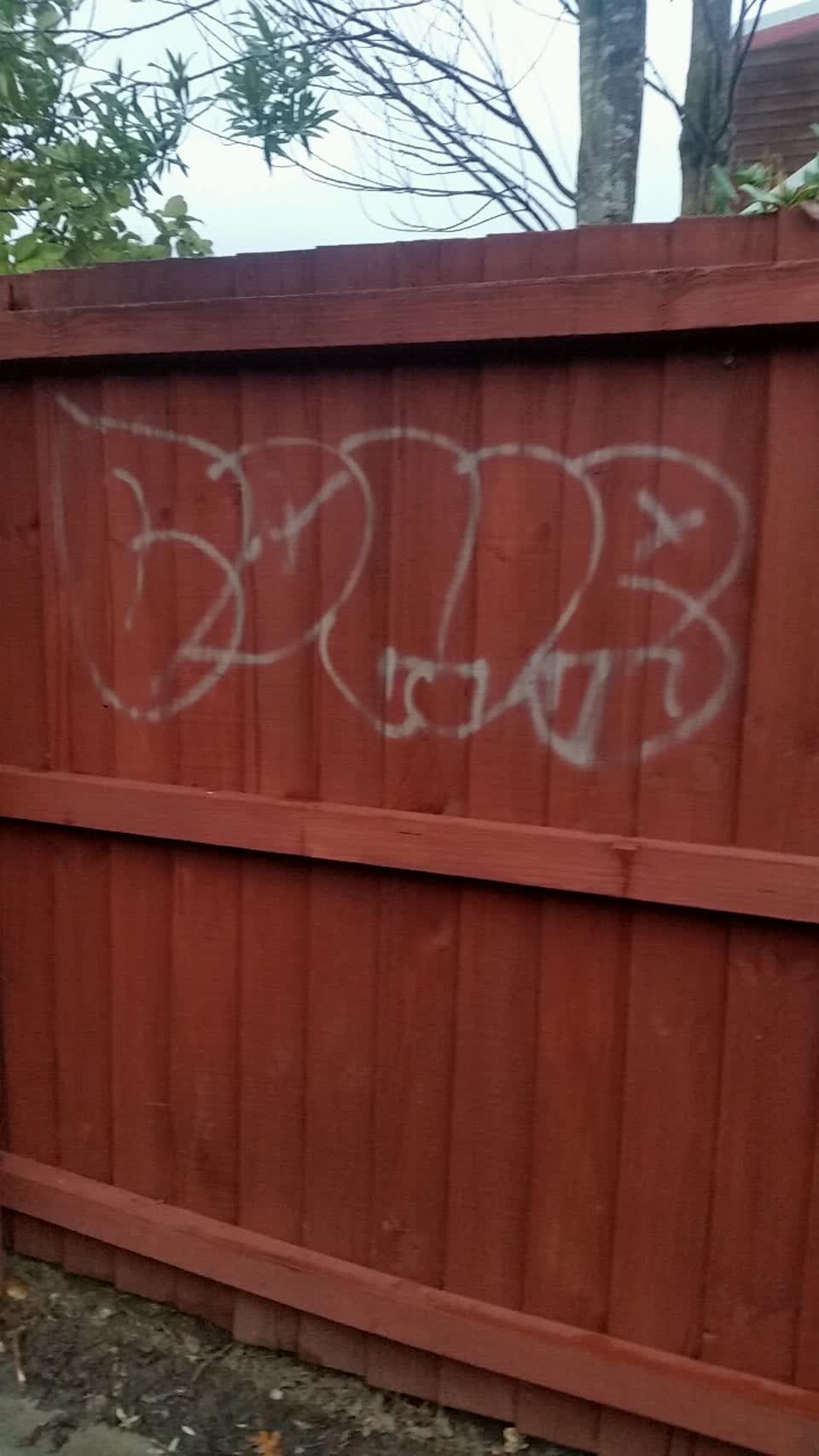 The photograph attached to this graffiti report