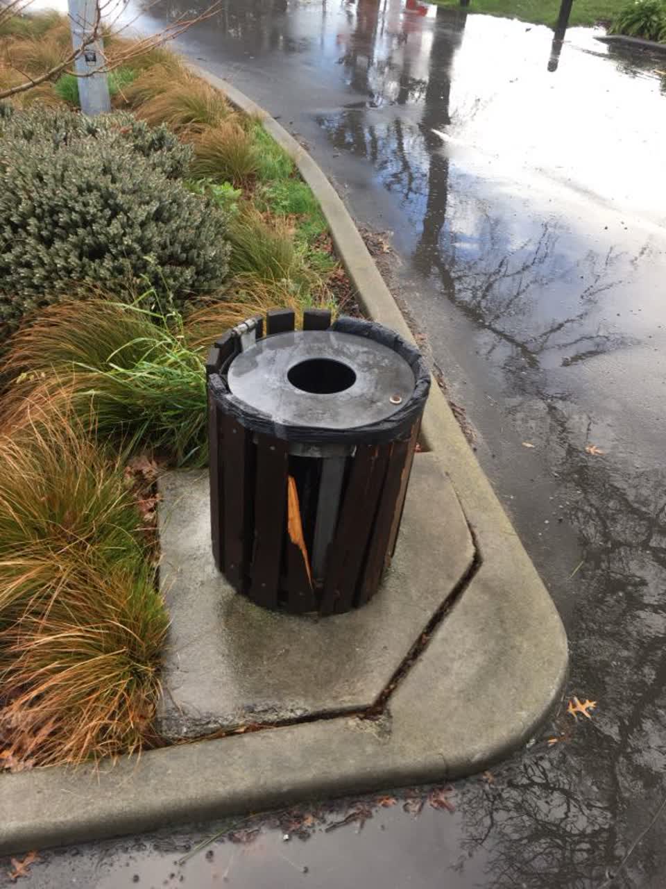 The photograph attached to this parks report