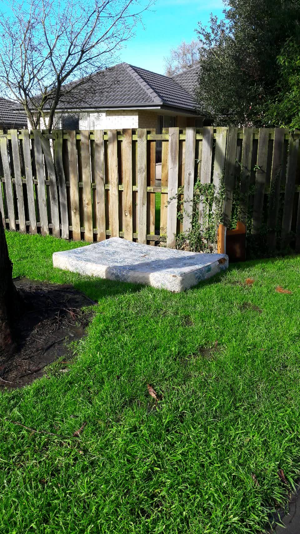 The photograph attached to this parks report