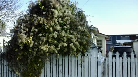 Roading/Streets, a report photo