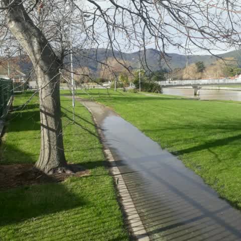 Parks, a report photo