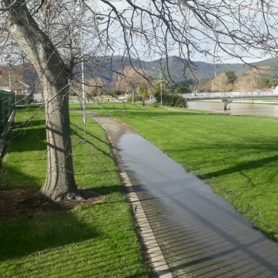 The photograph attached to this parks report