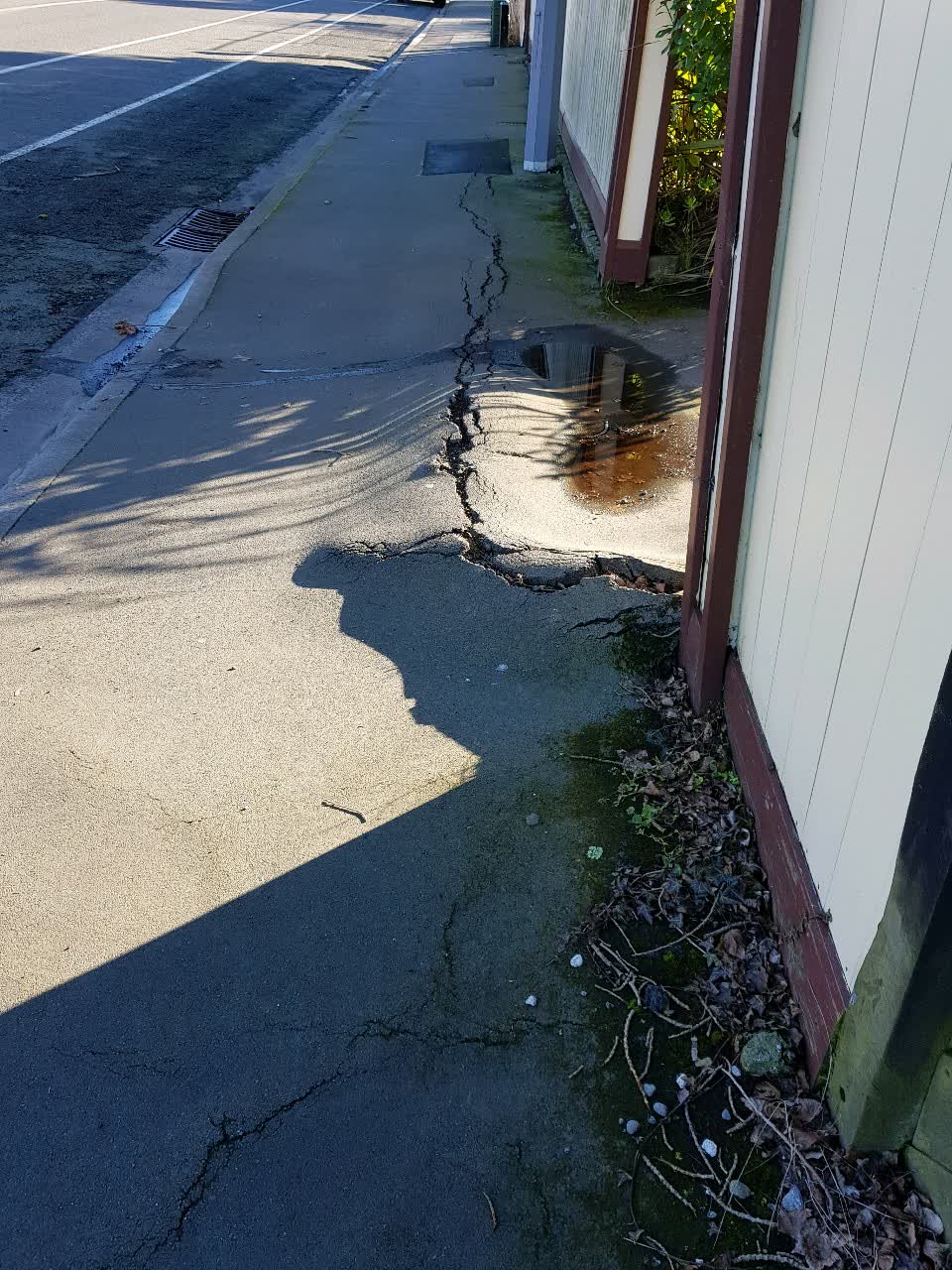 The photograph attached to this roading/streets report
