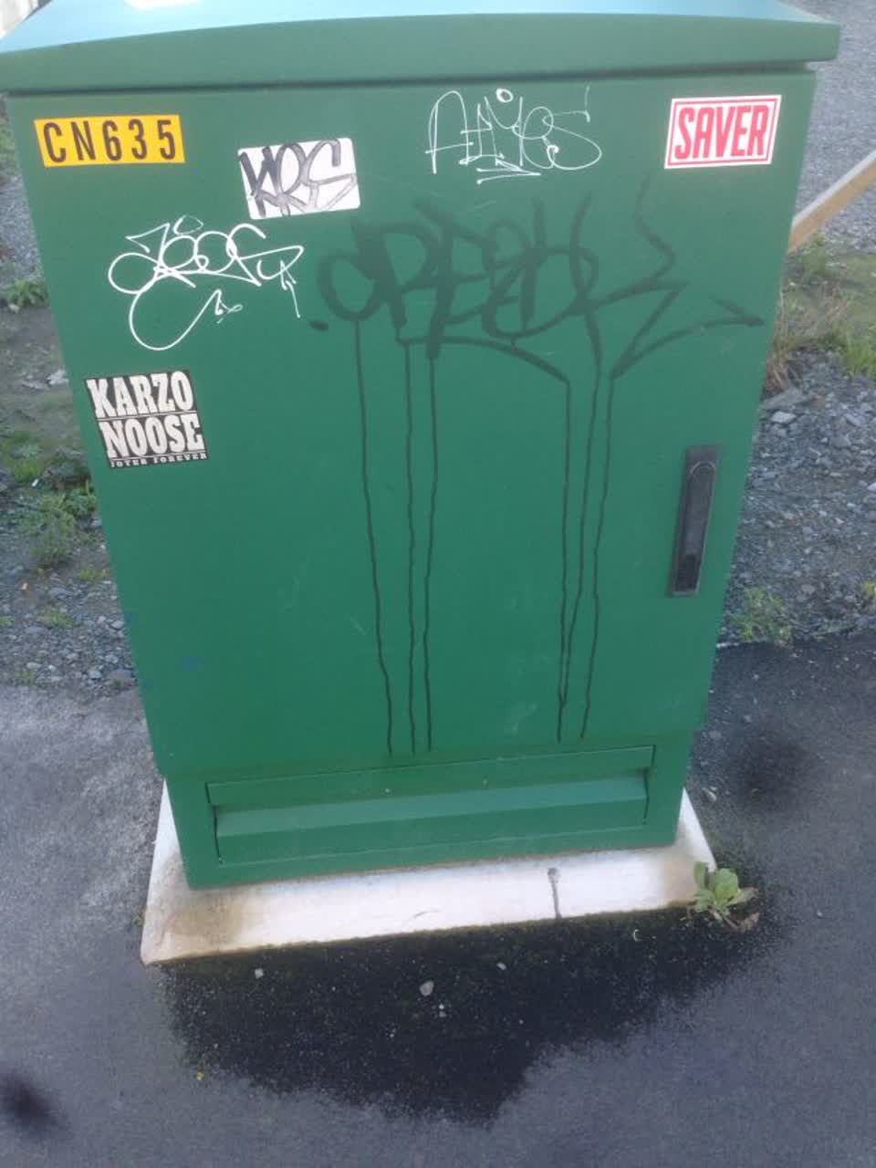 The photograph attached to this graffiti report