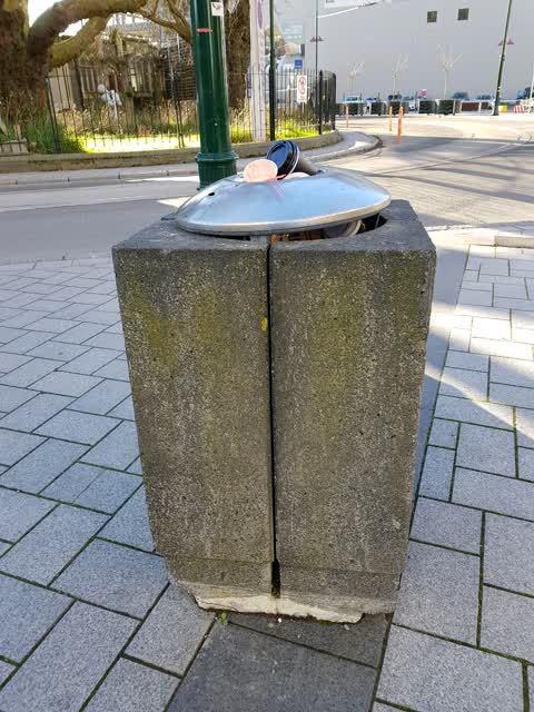 Rubbish/Recycling, a report photo