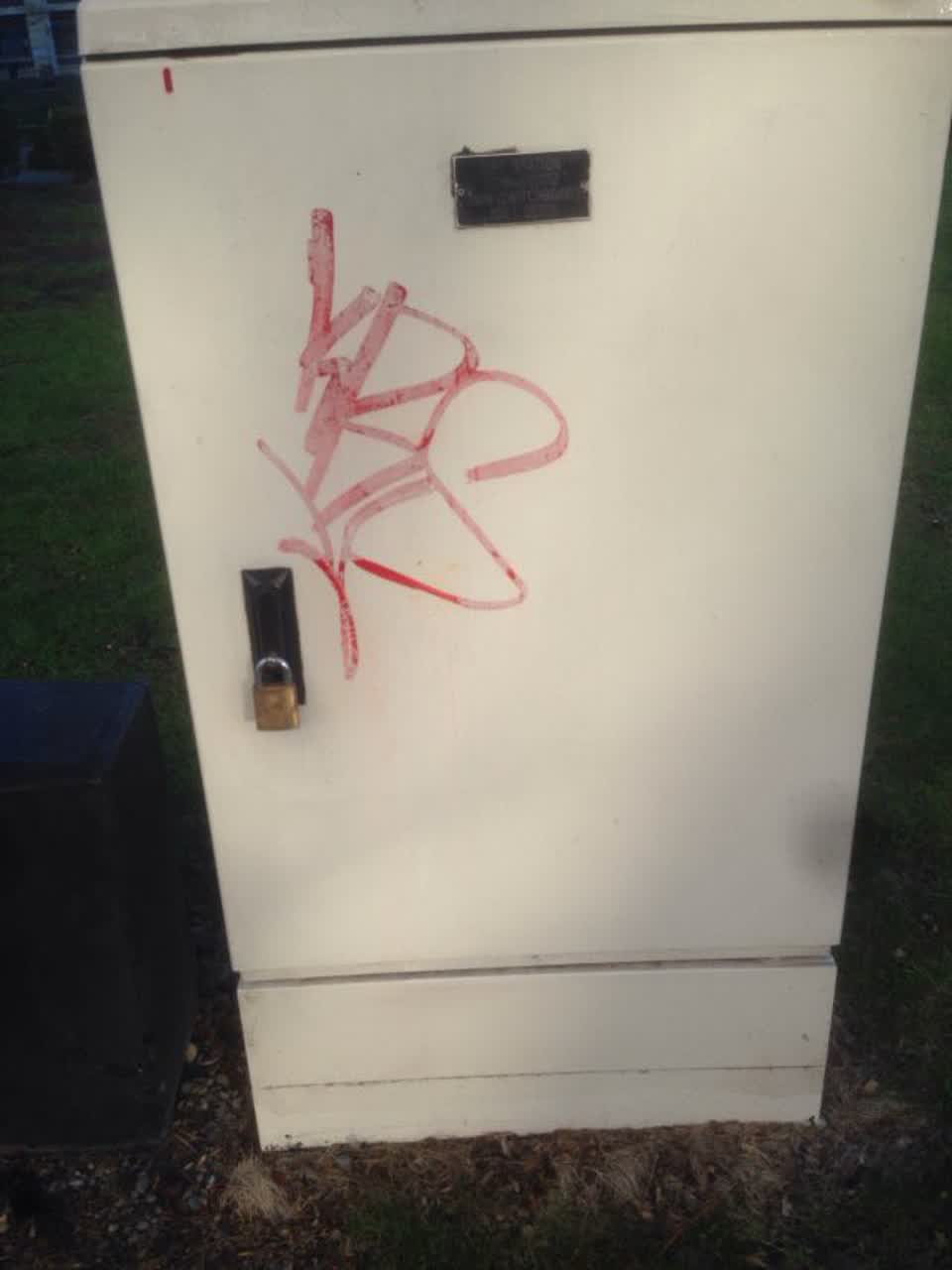 The photograph attached to this graffiti report