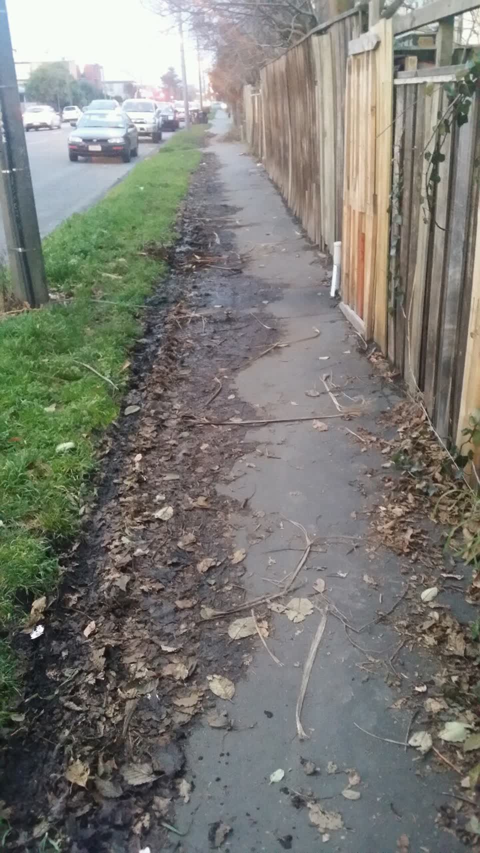 The photograph attached to this roading/streets report